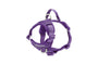 RC Pets Momentum Control Dog Harness, Purple