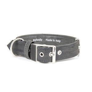 MyFamily Collier Royal pour chien, Gris