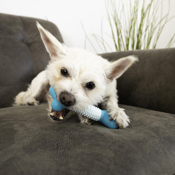KONG Dental Duets Stick Dog Toy
