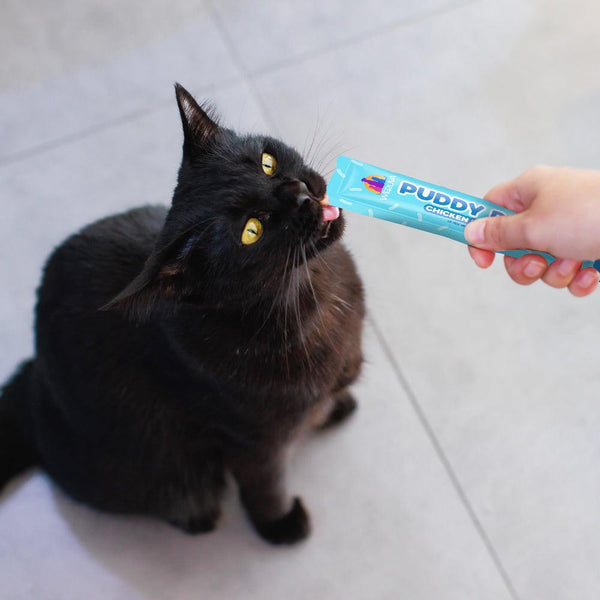 Weruva Cat Puddy Pops Chicken Lickable Cat Treats