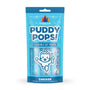 Weruva Cat Puddy Pops Chicken Lickable Cat Treats