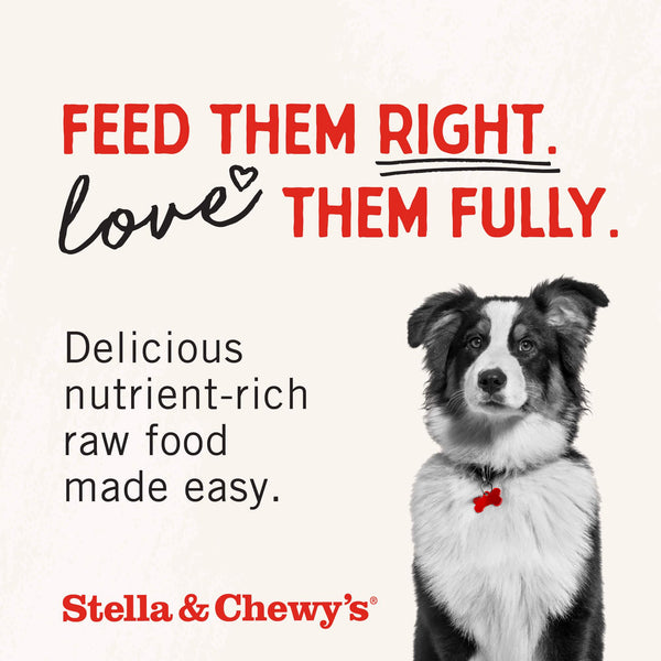 Stella & Chewy's Marie's Magical Breakfast Sprinkles Breakfast Burger, topping lyophilisé pour chiens