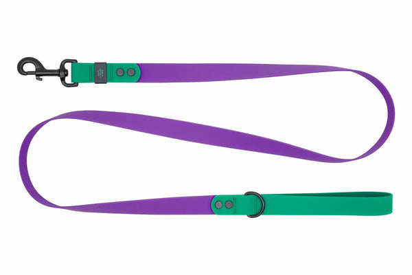 RC Pets Waterproof Dog Leash, Purple/Parakeet
