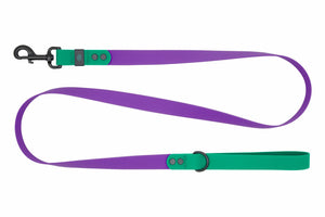 RC Pets Waterproof Dog Leash, Purple/Parakeet