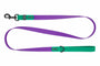 RC Pets Waterproof Dog Leash, Purple/Parakeet