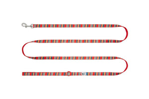 RC Pets Petite Dog Leash, Multi Stripes