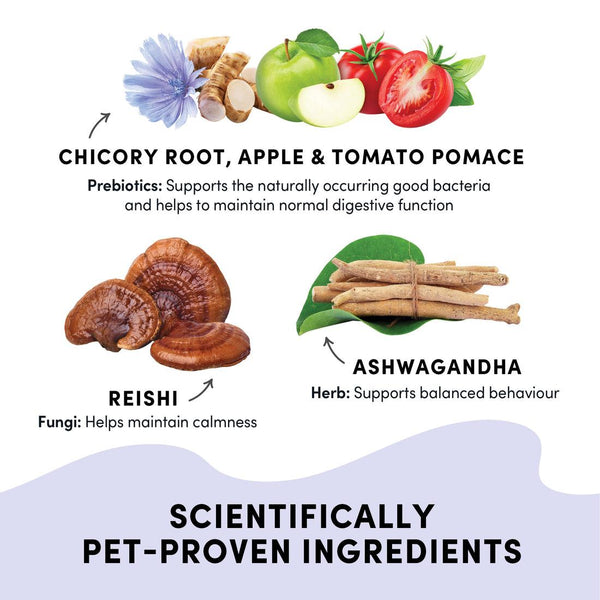 Crumps' Naturals Gutsy Calm Bites for Dogs