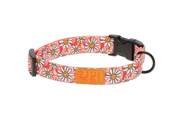 RC Pets Eco Clip Dog Collar, Daisy Joy
