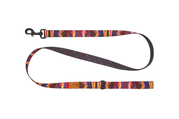 RC Pets Eco Dog Leash, Cosmic Aura/Dapple