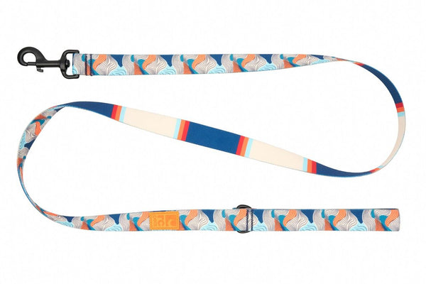 RC Pets Laisse Eco pour Chien, Riptide/Coastal Stripe