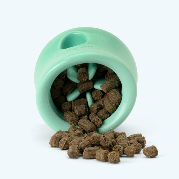 West Paw Jouet pour chien Zogoflex Toppl, Mint