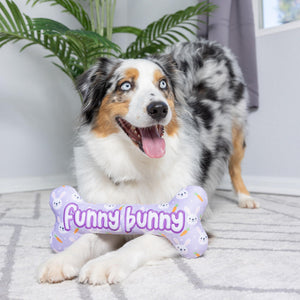 Huxley & Kent Power Plush Funny Bunny Bone Dog Toy