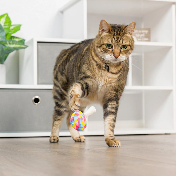 Huxley & Kent Jouet pour chat Kittybelles I'm Sweet Lollipop