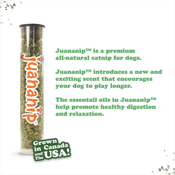 Doggijuana Tuffer Chewer Jouet pour chien Juananip à remplir Cornichon