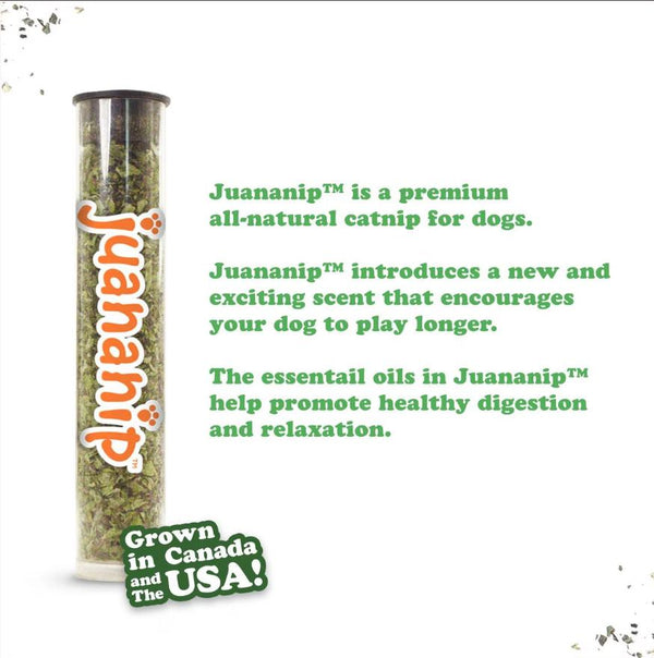 Doggijuana Tuffer Chewer Jouet pour chien Juananip à remplir Donut
