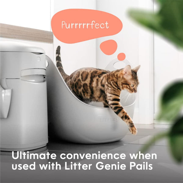 Litter Genie bac à litière avec pelle pour chats