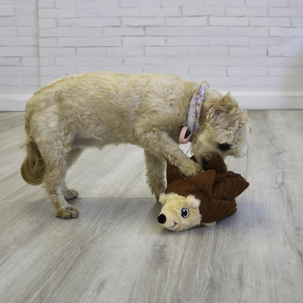 KONG Jouet pour chien Layerz Forage Hérisson