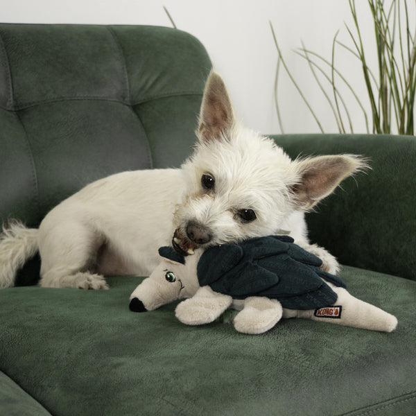 KONG Jouet pour chien Layerz Forage Tatou