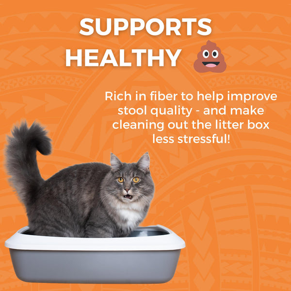 KOHA Limited Ingredient Bland Diet Chicken & White Rice Wet Cat Food Pouch