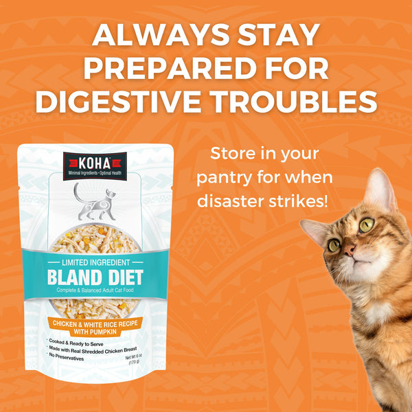 KOHA Limited Ingredient Bland Diet Chicken & White Rice Wet Cat Food Pouch