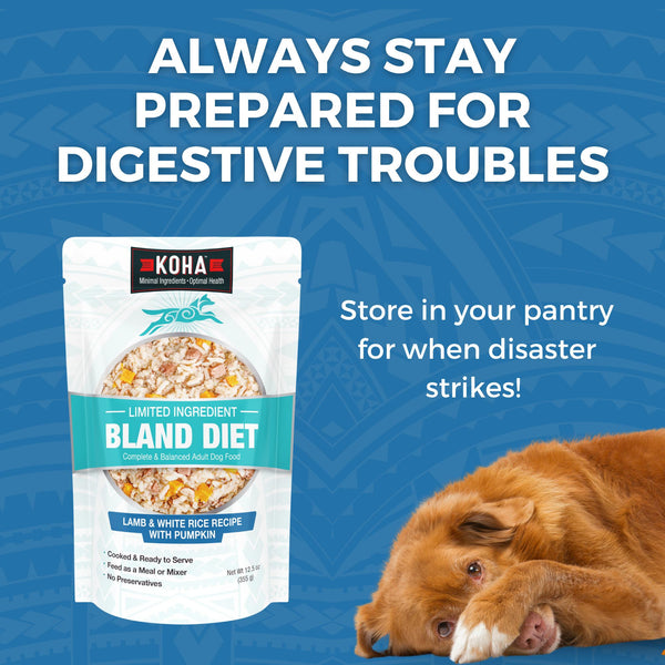 KOHA Limited Ingredient Bland Diet Lamb & White Rice Wet Dog Food Pouch