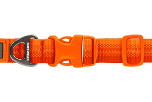 Ruffwear Front Range Dog Collar, Blaze Orange