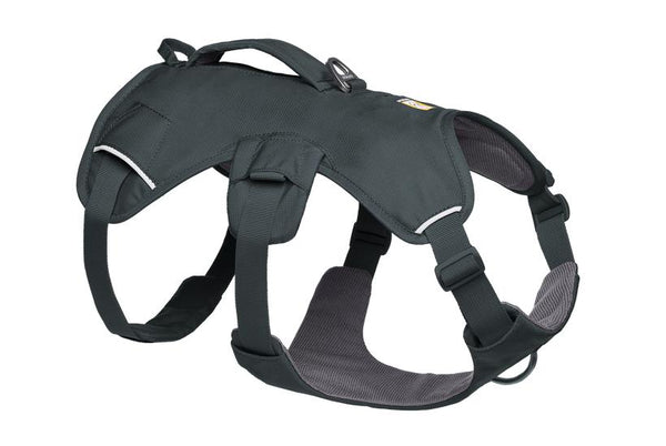 Ruffwear Web Master Harness with Handle for Dogs, Basalt Gray