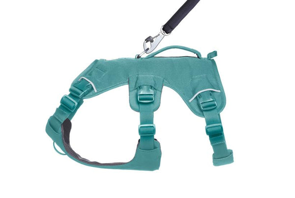 Ruffwear Web Master Harness with Handle for Dogs, River Rock Green