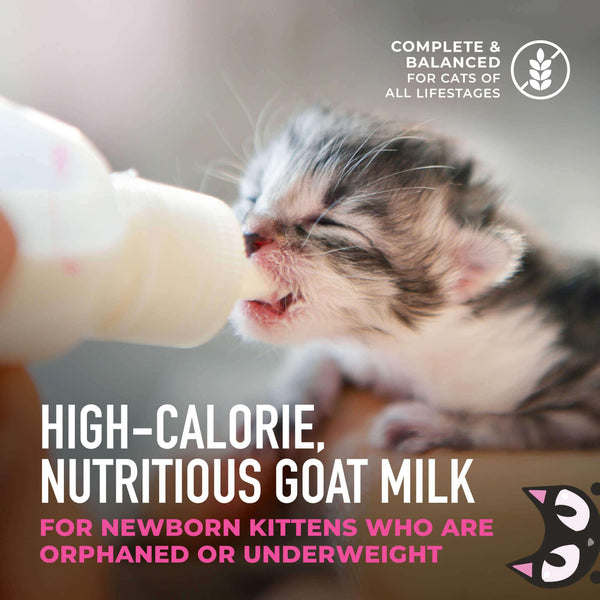 Tiki Cat Baby Milk Replacer with Goat's Milk Wet Cat Food Pouch