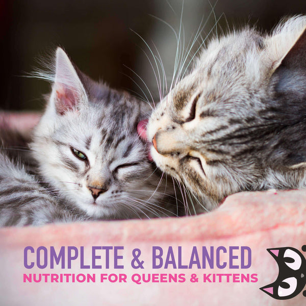 Tiki Cat Baby Weaning Puree Chicken & Chicken Liver in Broth Wet Cat Food Pouch