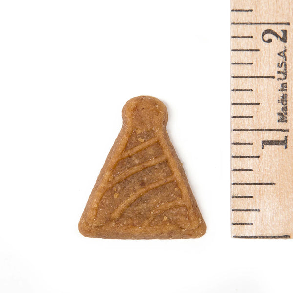 AG-Alchemy Pro Bakery Bites Vanilla Bday Cake Soft Baked Dog Treats