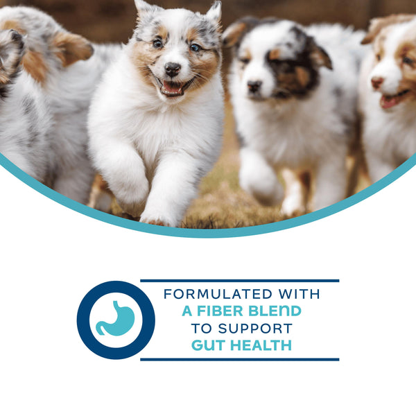 Fromm Nutritionals Digestive Functional Dog Treats