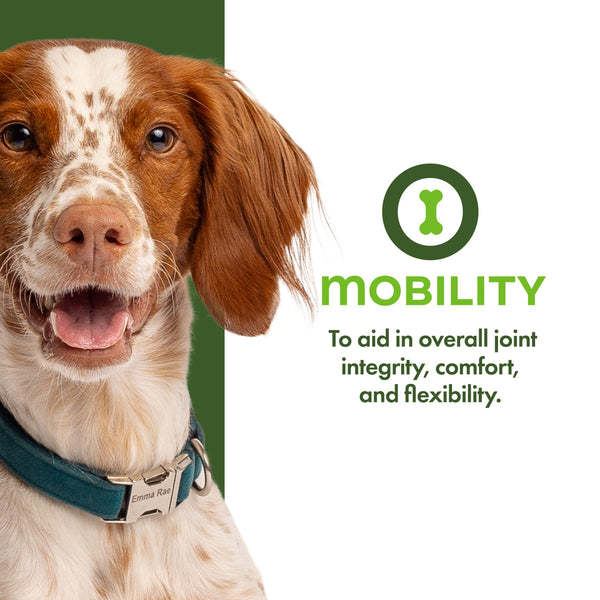 Fromm Nutritionals Friandises Fonctionnelles Mobilité pour Chien