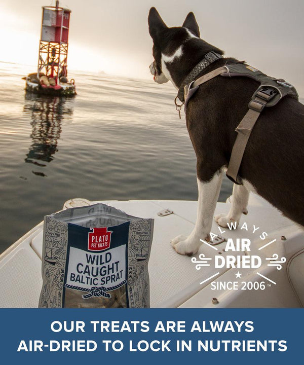 Plato Wild Caught Baltic Sprat Fish Dog Treats