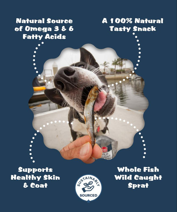 Plato Wild Caught Baltic Sprat Fish Dog Treats