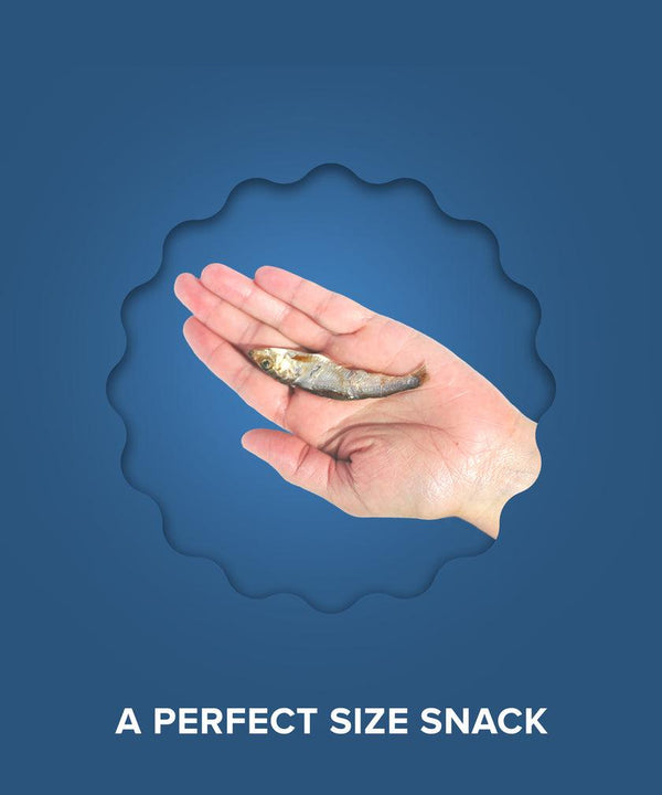Plato Wild Caught Baltic Sprat Fish Dog Treats