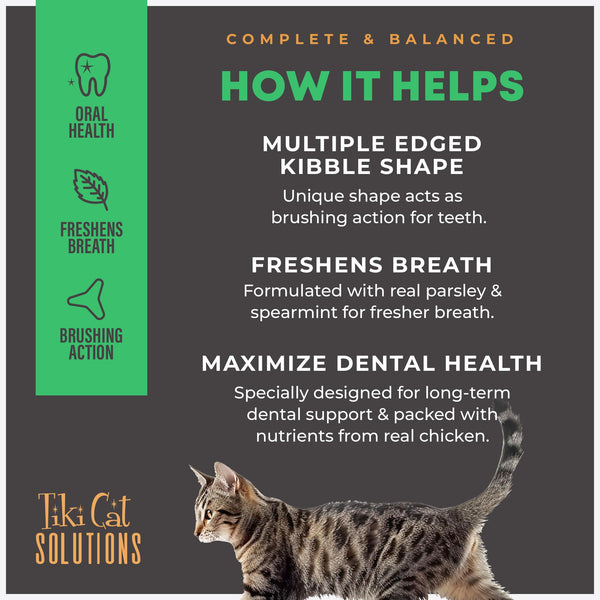 Tiki Cat Solutions Dental Chicken Dry Cat Food