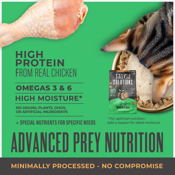 Tiki Cat Solutions Dental Chicken Dry Cat Food