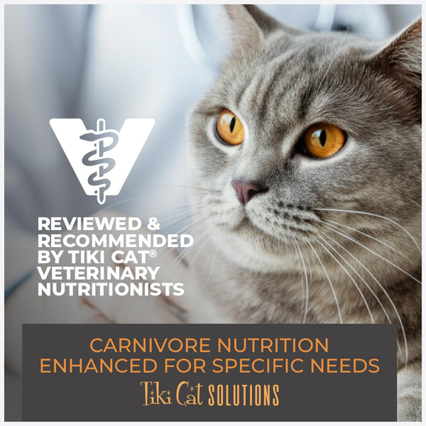 Tiki Cat Solutions Light Turkey Dry Cat Food