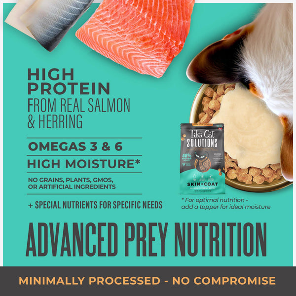 Tiki Cat Solutions Peau & Pelage Saumon & Hareng Croquettes sèches pour chats