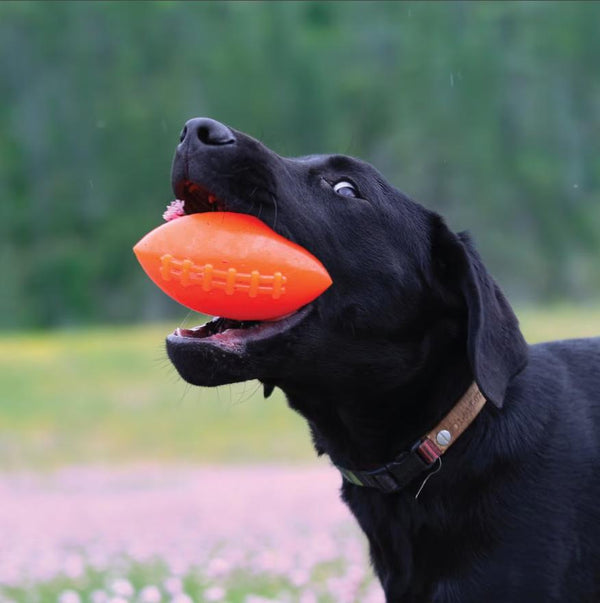 RuffDawg Football Jouet chien, Couleur variable