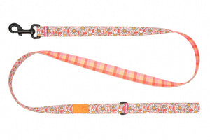 RC Pets Eco Dog Leash, Daisy Joy/Gleeful Gingham