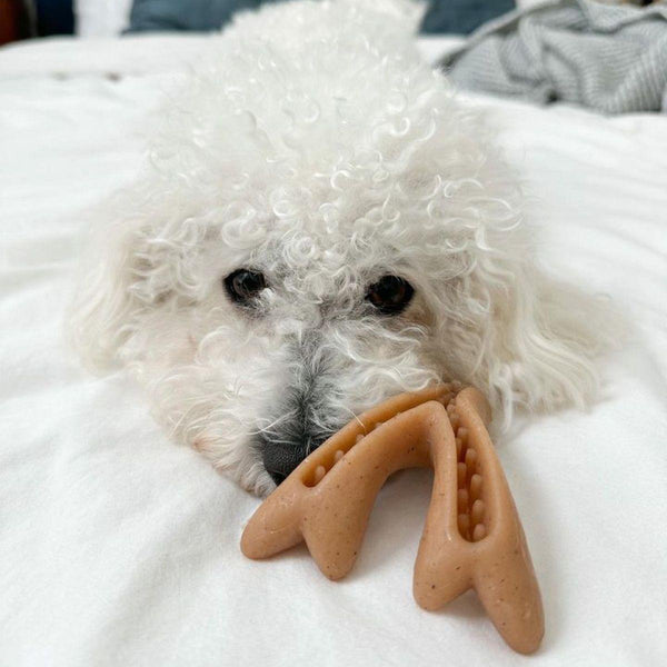 Tall Tails Enrichment Antler & Acorn Dog Toy, Small