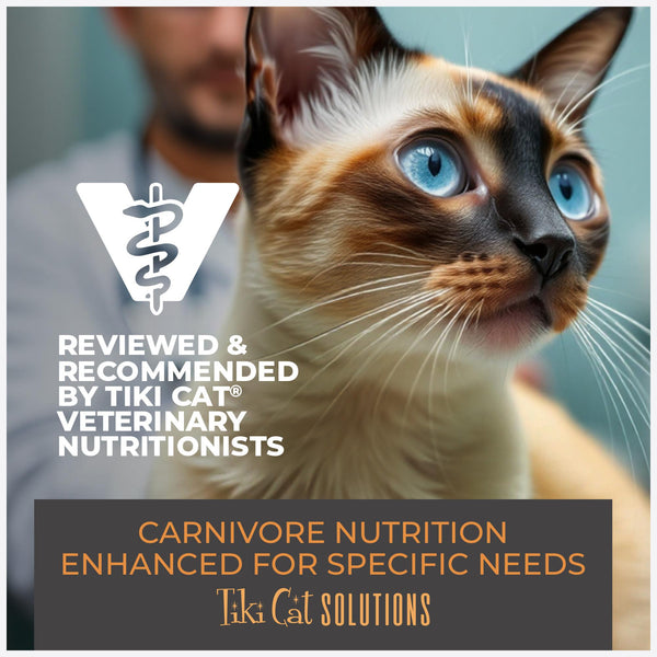 Tiki Cat Solutions Croquettes Digestion Agneau et Œuf pour chat