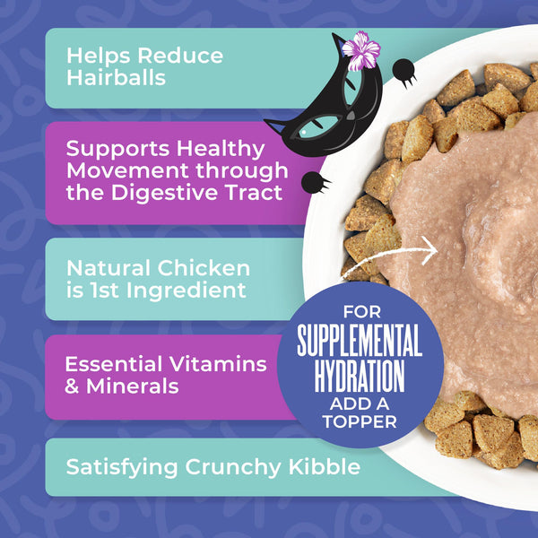 Tiki Cat Born Carnivore Hairball Control Chicken Dry Cat Food