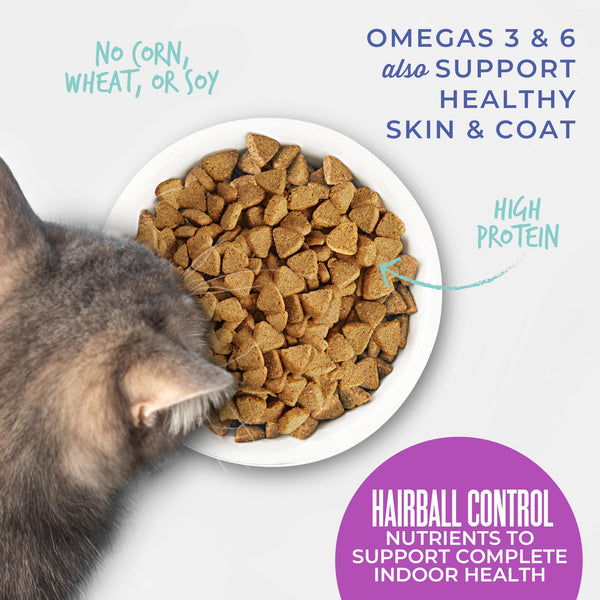 Tiki Cat Born Carnivore Hairball Control Chicken Dry Cat Food