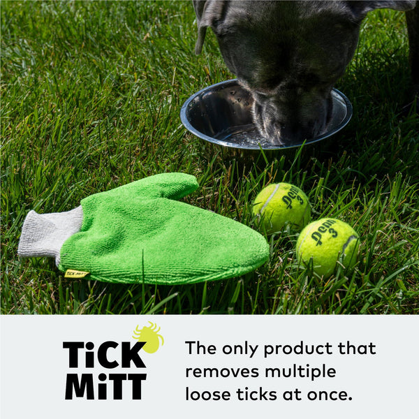 TiCK MiTT Microfiber Tick Remover for Dogs & Cats, Green