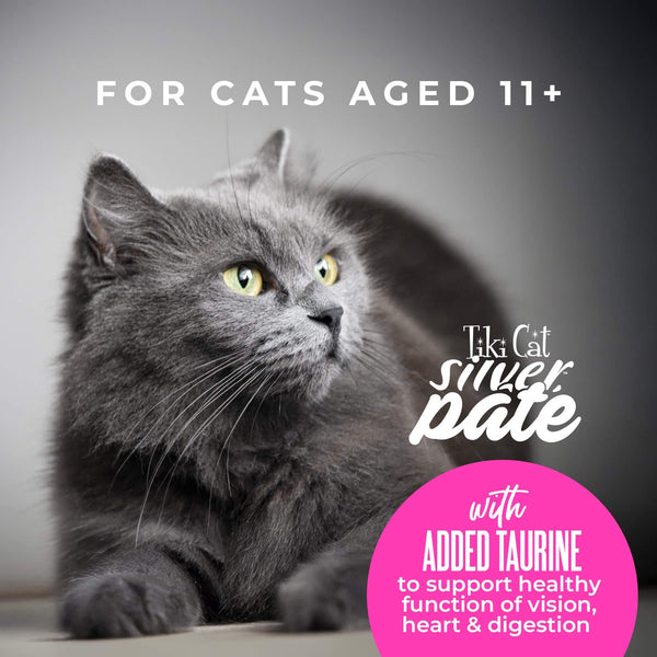 Tiki Cat Silver Pate Chicken in Broth Wet Cat Food Can