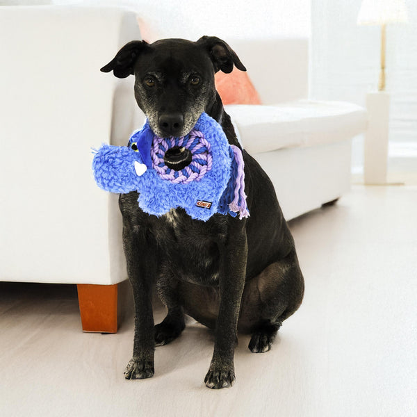 KONG Ringaroos Éléphant Jouet pour chien