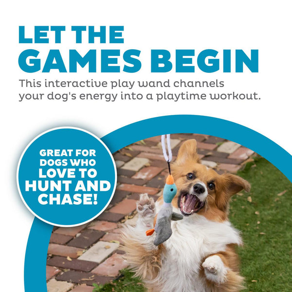 Outward Hound Tail Teaser Baguette interactive pour chien